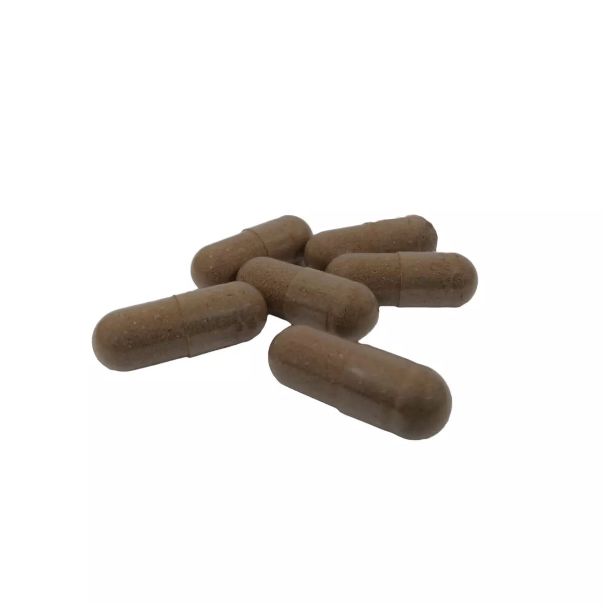 Reishi Biologisch 60 Vegan-Capsules