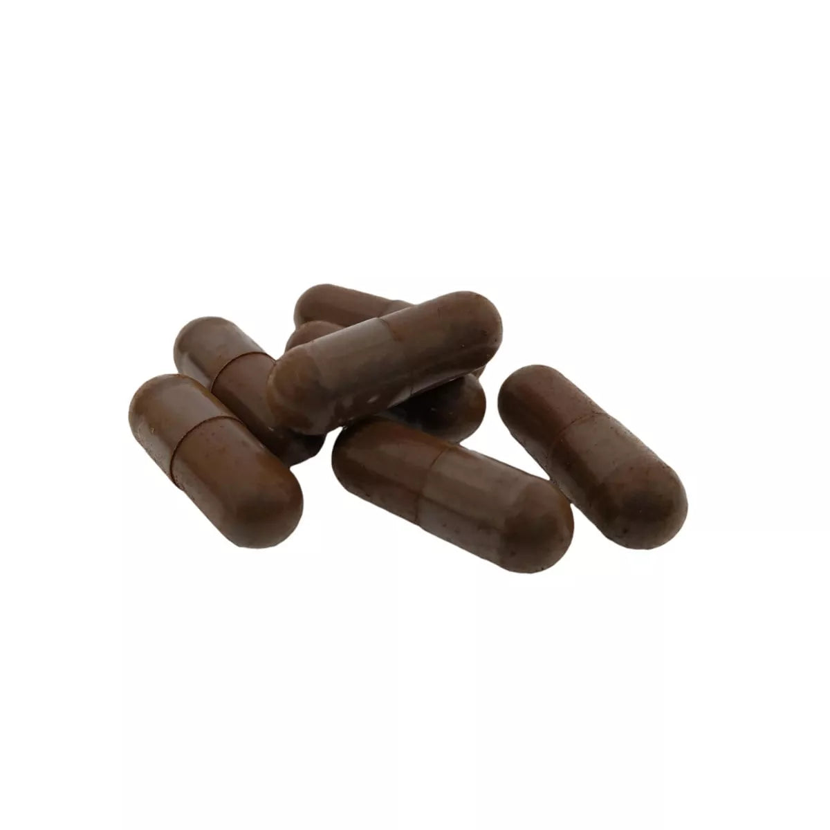 Chaga Biologisch 60 vegan-Capsules