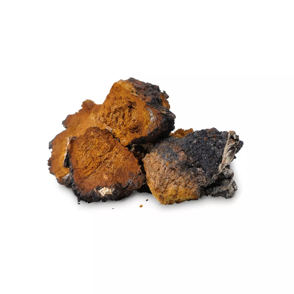 Chaga Biologisch 60 vegan-Capsules